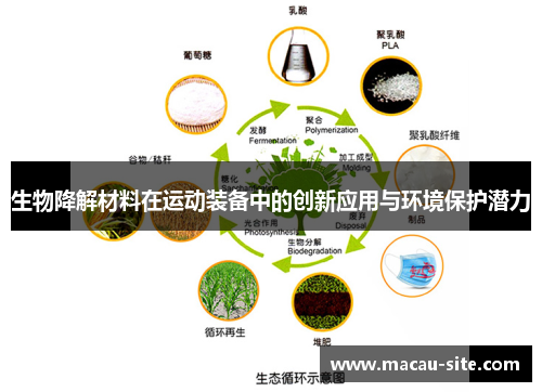 生物降解材料在运动装备中的创新应用与环境保护潜力