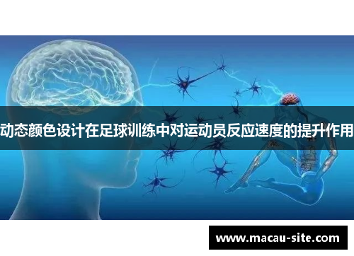 动态颜色设计在足球训练中对运动员反应速度的提升作用